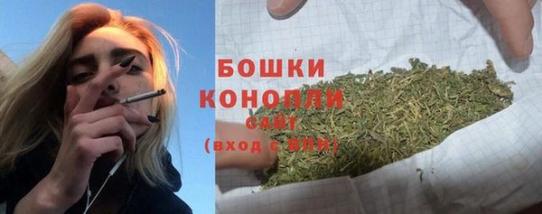 стаф Елабуга