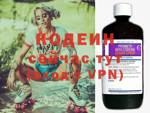 стаф Елабуга