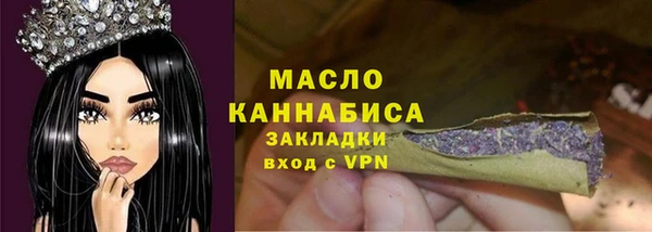 стаф Елабуга