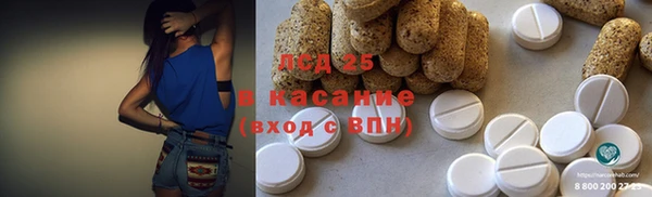 хмурый Ельня