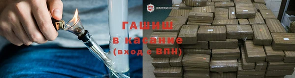 хмурый Ельня