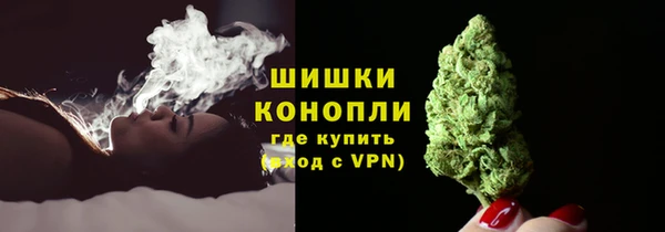 стаф Елабуга