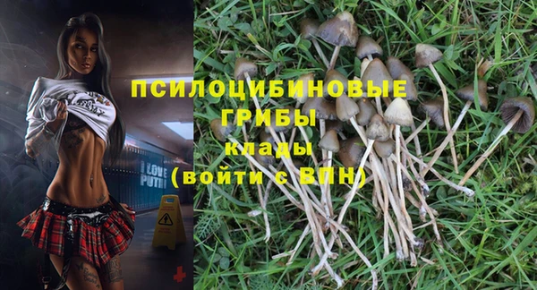 стаф Елабуга