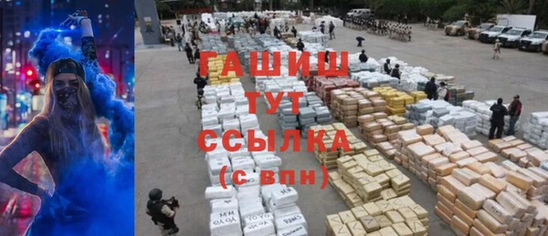 хмурый Ельня