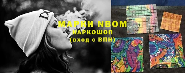 стаф Елабуга