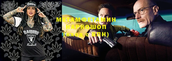 хмурый Ельня