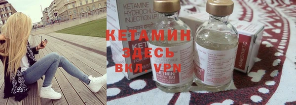 хмурый Ельня