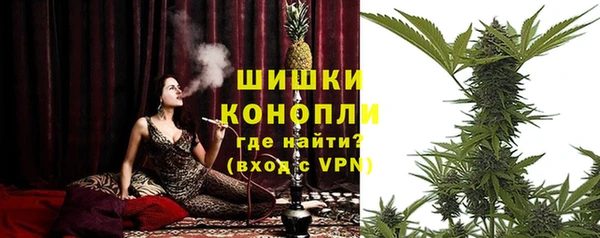 хмурый Ельня