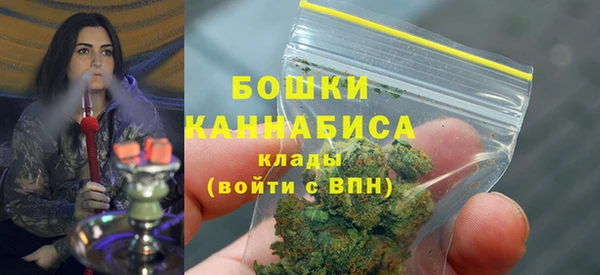 стаф Елабуга