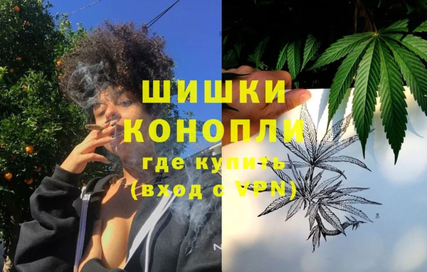 стаф Елабуга
