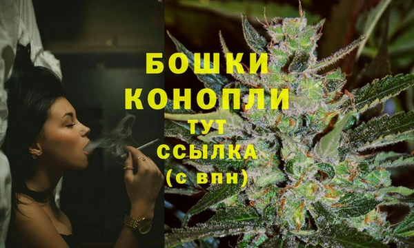 хмурый Ельня
