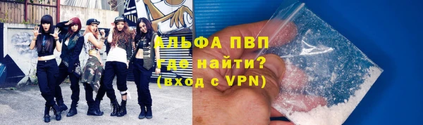 хмурый Ельня
