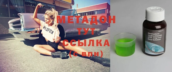 хмурый Ельня